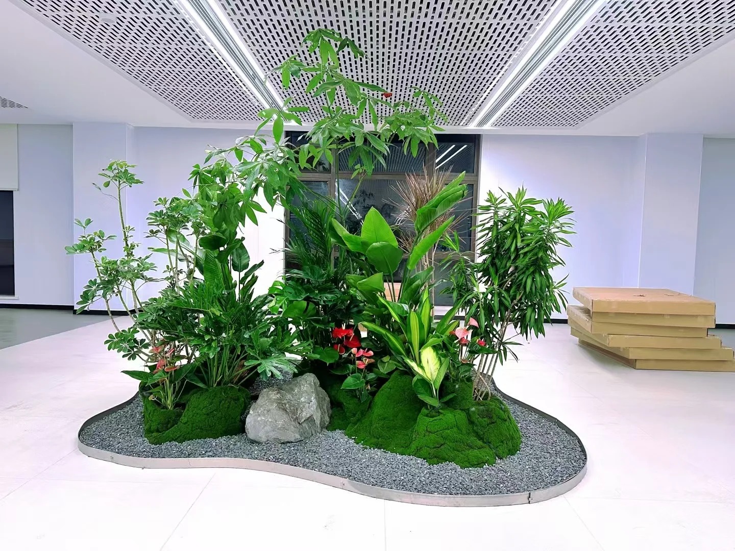 体验宁波北仑植物租赁，优质服务惊艳您双眼！