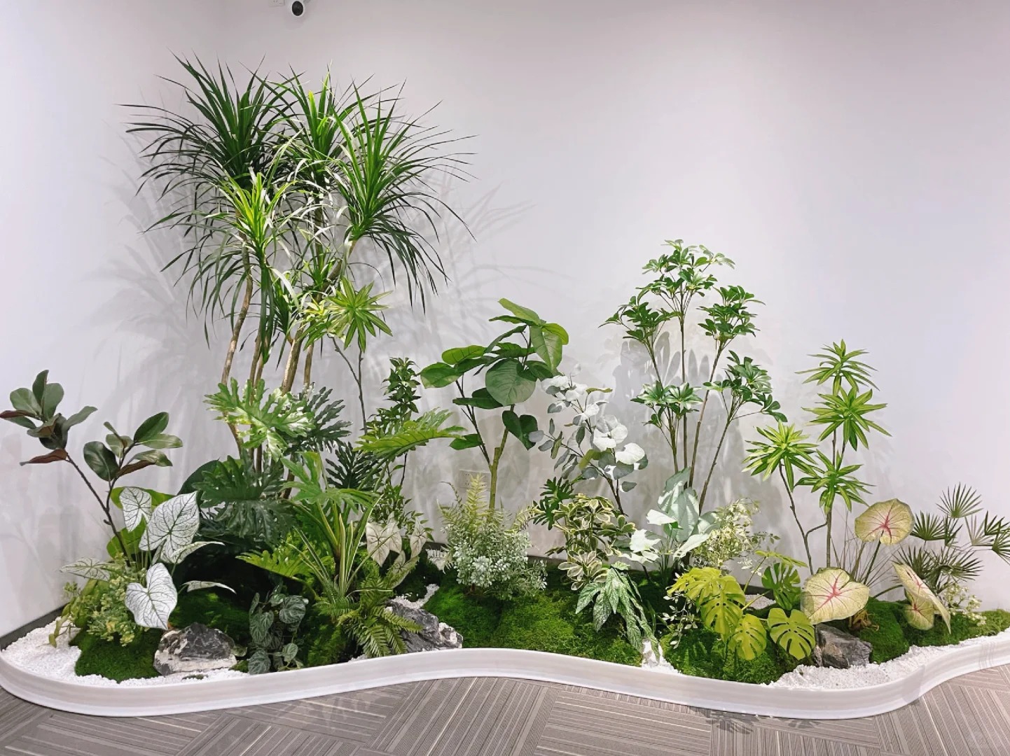 体验宁波北仑植物租赁，优质服务惊艳您双眼！